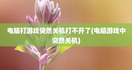 电脑打游戏突然关机打不开了(电脑游戏中突然关机)