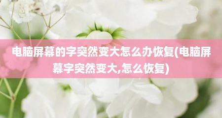 电脑屏幕的字突然变大怎么办恢复(电脑屏幕字突然变大,怎么恢复)