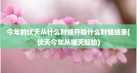 今年的伏天从什么时候开始什么时候结束(伏天今年从哪天起始)