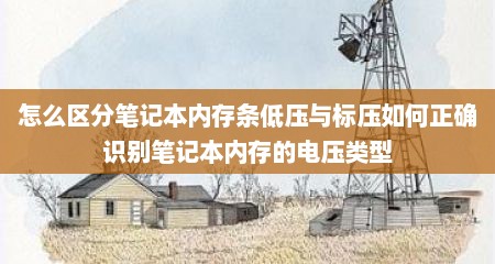 怎么区分笔记本内存条低压与标压如何正确识别笔记本内存的电压类型