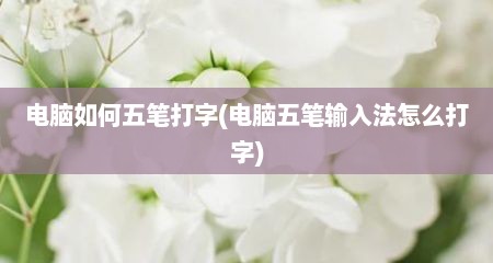 电脑如何五笔打字(电脑五笔输入法怎么打字)