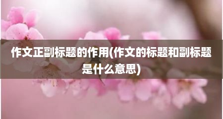 作文正副标题的作用(作文的标题和副标题是什么意思)