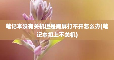 笔记本没有关机但是黑屏打不开怎么办(笔记本扣上不关机)