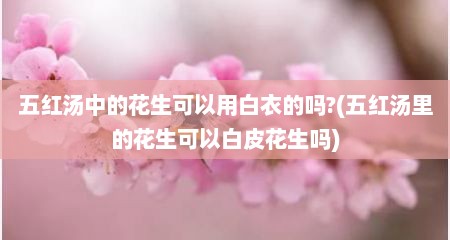 五红汤中的花生可以用白衣的吗?(五红汤里的花生可以白皮花生吗)