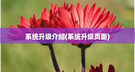 系统升级介绍(系统升级页面)