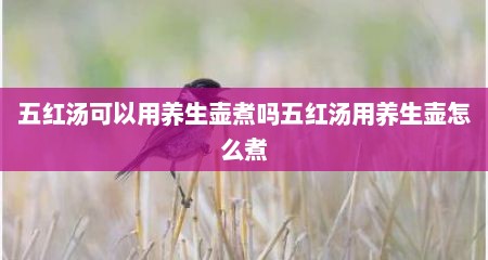 五红汤可以用养生壶煮吗五红汤用养生壶怎么煮