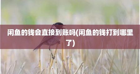 闲鱼的钱会直接到账吗(闲鱼的钱打到哪里了)