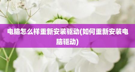 电脑怎么样重新安装驱动(如何重新安装电脑驱动)