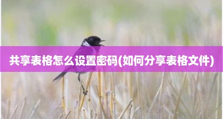 共享表格怎么设置密码(如何分享表格文件)