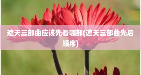 遮天三部曲应该先看哪部(遮天三部曲先后顺序)