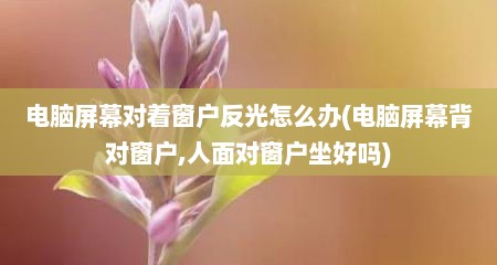 电脑屏幕对着窗户反光怎么办(电脑屏幕背对窗户,人面对窗户坐好吗)