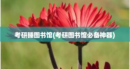 考研睡图书馆(考研图书馆必备神器)