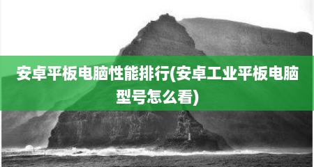 安卓平板电脑性能排行(安卓工业平板电脑型号怎么看)