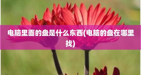 电脑里面的盘是什么东西(电脑的盘在哪里找)