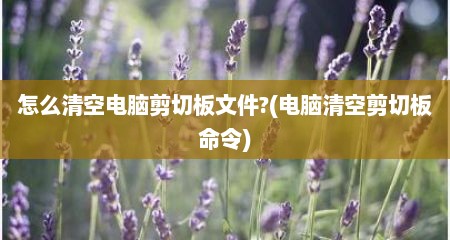 怎么清空电脑剪切板文件?(电脑清空剪切板命令)