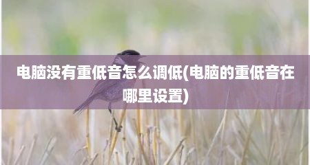 电脑没有重低音怎么调低(电脑的重低音在哪里设置)