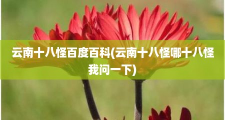 云南十八怪百度百科(云南十八怪哪十八怪我问一下)