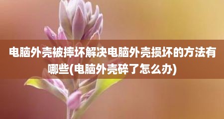 电脑外壳被摔坏解决电脑外壳损坏的方法有哪些(电脑外壳碎了怎么办)