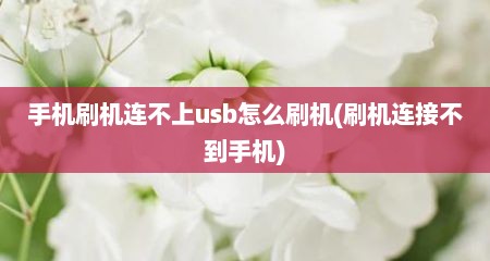 手机刷机连不上usb怎么刷机(刷机连接不到手机)