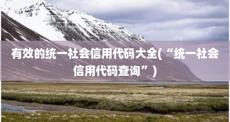 有效的统一社会信用代码大全(“统一社会信用代码查询”)