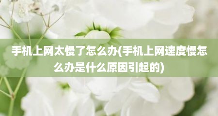 手机上网太慢了怎么办(手机上网速度慢怎么办是什么原因引起的)