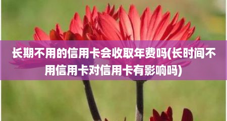 长期不用的信用卡会收取年费吗(长时间不用信用卡对信用卡有影响吗)