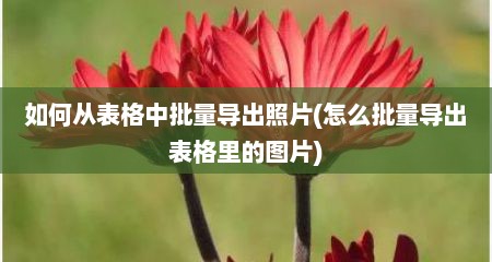 如何从表格中批量导出照片(怎么批量导出表格里的图片)