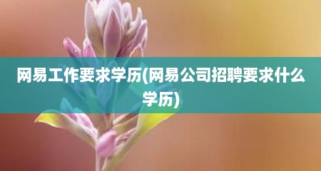 网易工作要求学历(网易公司招聘要求什么学历)