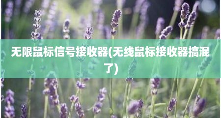 无限鼠标信号接收器(无线鼠标接收器搞混了)