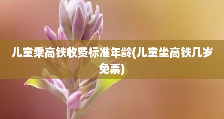 儿童乘高铁收费标准年龄(儿童坐高铁几岁免票)