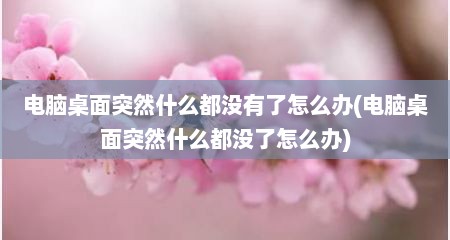 电脑桌面突然什么都没有了怎么办(电脑桌面突然什么都没了怎么办)