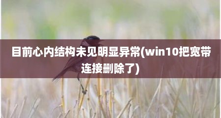 目前心内结构未见明显异常(win10把宽带连接删除了)