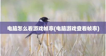 电脑怎么看游戏帧率(电脑游戏查看帧率)