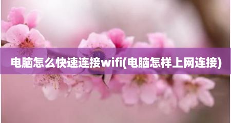 电脑怎么快速连接wifi(电脑怎样上网连接)