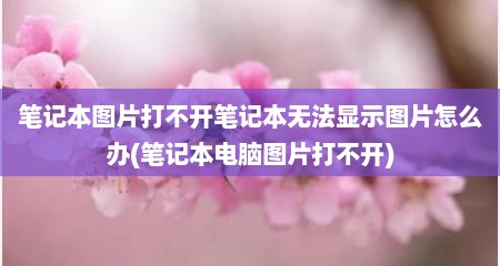 笔记本图片打不开笔记本无法显示图片怎么办(笔记本电脑图片打不开)