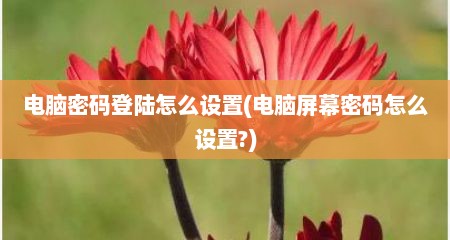 电脑密码登陆怎么设置(电脑屏幕密码怎么设置?)