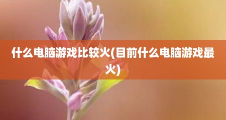 什么电脑游戏比较火(目前什么电脑游戏最火)