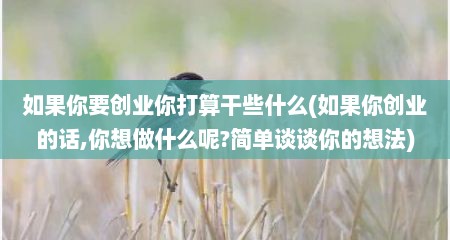 如果你要创业你打算干些什么(如果你创业的话,你想做什么呢?简单谈谈你的想法)