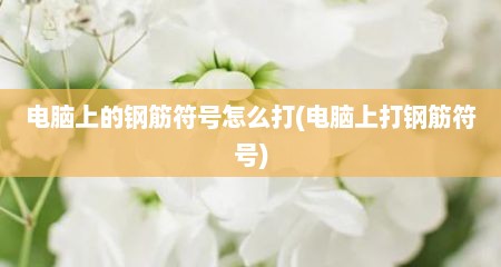 电脑上的钢筋符号怎么打(电脑上打钢筋符号)