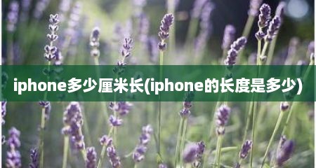 iphone多少厘米长(iphone的长度是多少)