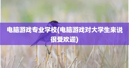 电脑游戏专业学校(电脑游戏对大学生来说很受欢迎)