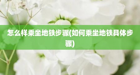 怎么样乘坐地铁步骤(如何乘坐地铁具体步骤)