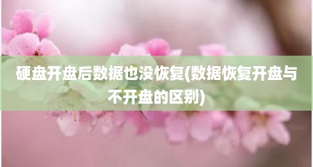 硬盘开盘后数据也没恢复(数据恢复开盘与不开盘的区别)