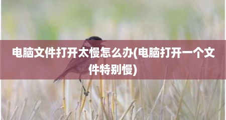 电脑文件打开太慢怎么办(电脑打开一个文件特别慢)