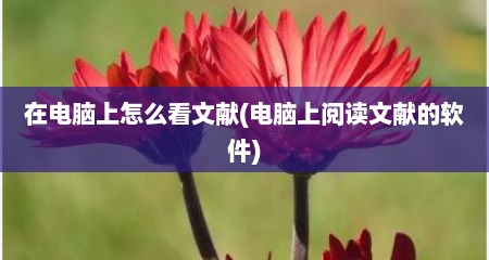 在电脑上怎么看文献(电脑上阅读文献的软件)