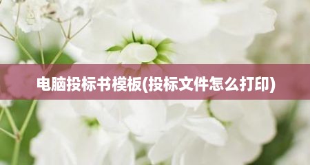 电脑投标书模板(投标文件怎么打印)