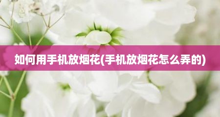 如何用手机放烟花(手机放烟花怎么弄的)