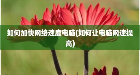 如何加快网络速度电脑(如何让电脑网速提高)