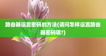 路由器设置密码的方法(请问怎样设置路由器密码呢?)