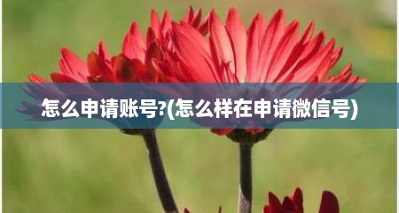 怎么申请账号?(怎么样在申请微信号)